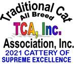2021 SCOE TCA, Inc.